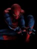 Brothers & Sisters The Amazing Spider-Man 